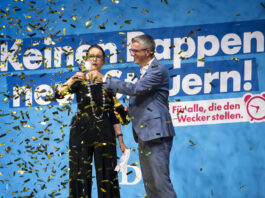 Transparenz bei Politikfinanzierung: FDP schludert bei der Buchhaltung