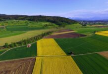 Initiative für eine sichere Ernährung: Gute Zielsetzung, unrealistische Umsetzung