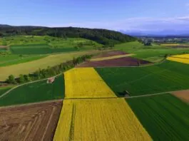 Initiative für eine sichere Ernährung: Gute Zielsetzung, unrealistische Umsetzung