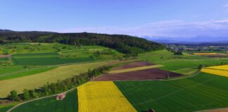 Initiative für eine sichere Ernährung: Gute Zielsetzung, unrealistische Umsetzung