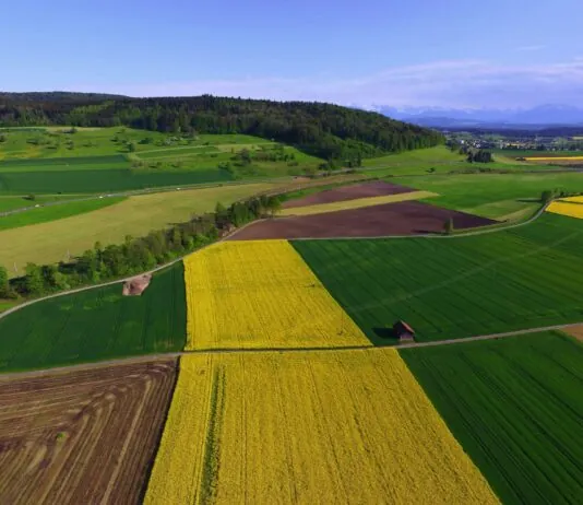 Initiative für eine sichere Ernährung: Gute Zielsetzung, unrealistische Umsetzung