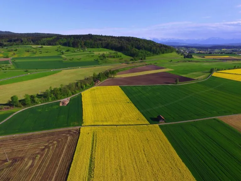 Initiative für eine sichere Ernährung: Gute Zielsetzung, unrealistische Umsetzung